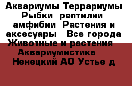 Аквариумы.Террариумы.Рыбки, рептилии, амфибии. Растения и аксесуары - Все города Животные и растения » Аквариумистика   . Ненецкий АО,Устье д.